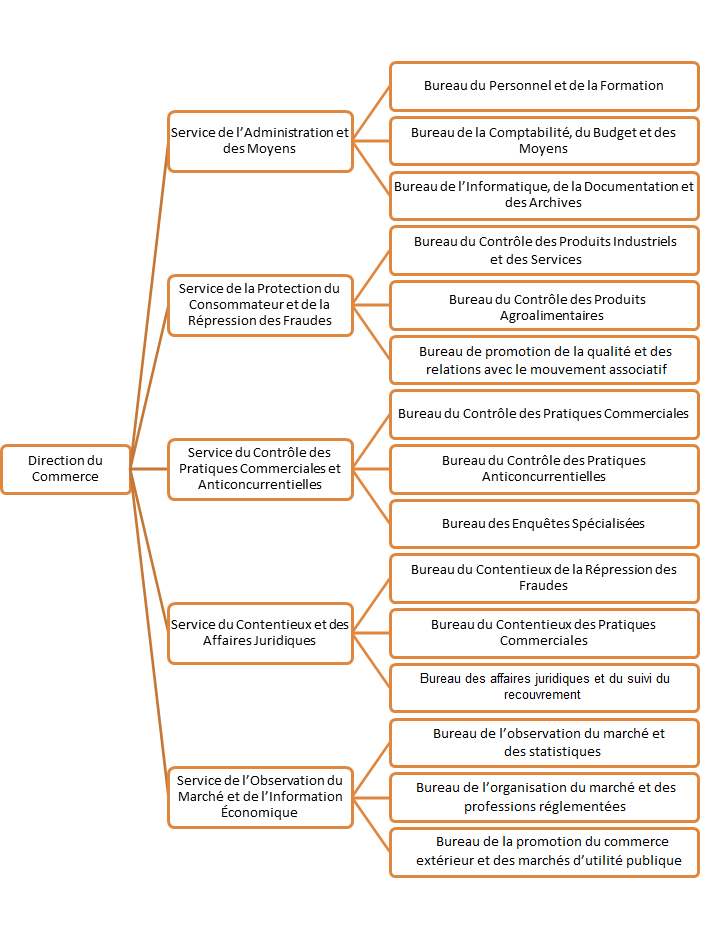 Organigramme